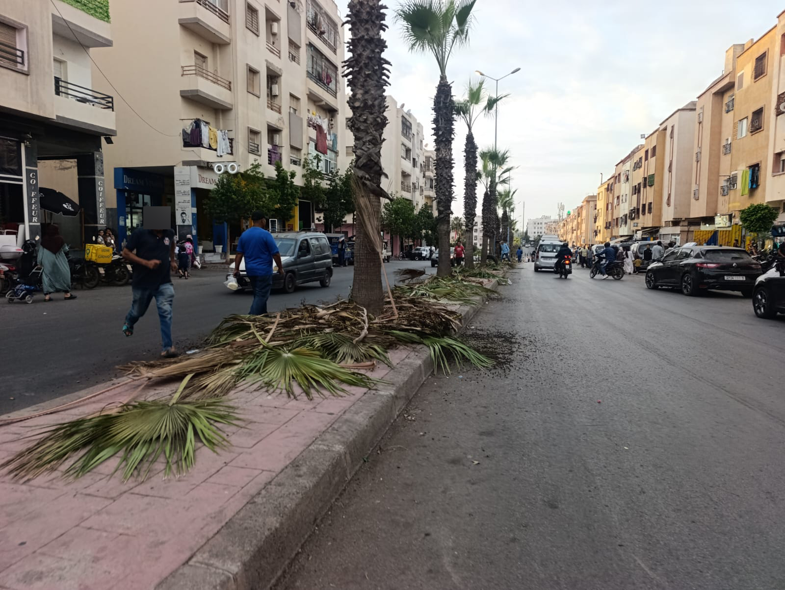 الدار البيضاء.. أغصان وأوراق النخيل اليابسة تغزو شارع نسرين بالرحمة 2