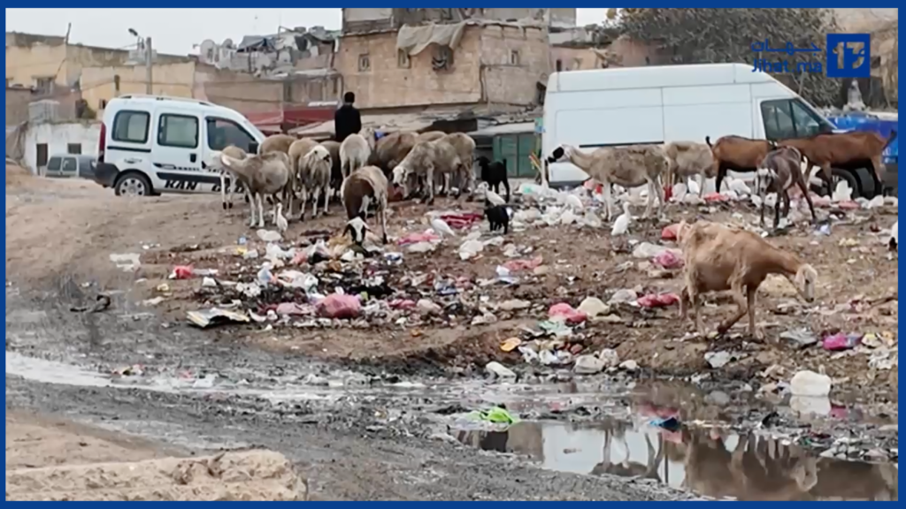 خمس سنوات ديال التسيير  بإقليم مديونة.. واش هادي مدينة ولا شي قرية منسية؟